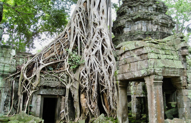 Angkor Wat and other temples with Mini-Van