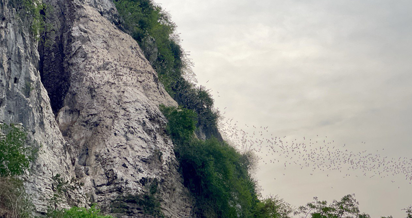 Siem Reap to Battambang: Bamboo Train and Bat Cave